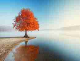 标﻿签‍脚﻿本​怎​么​写﻿